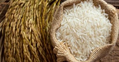 Mơ thấy gạo là điềm báo lành hay dữ?