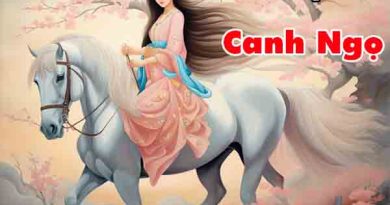 Thống kê con số may mắn tuổi Canh Ngọ ngày 6/5/2024