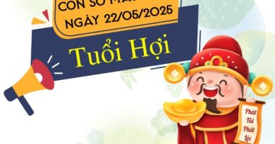 Gợi ý con số hút lộc chiêu tài tuổi Hợi ngày 22/5/2025